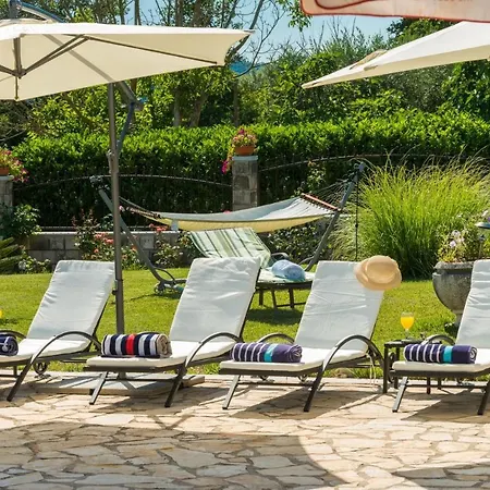 Thousand Roses * Lovorno