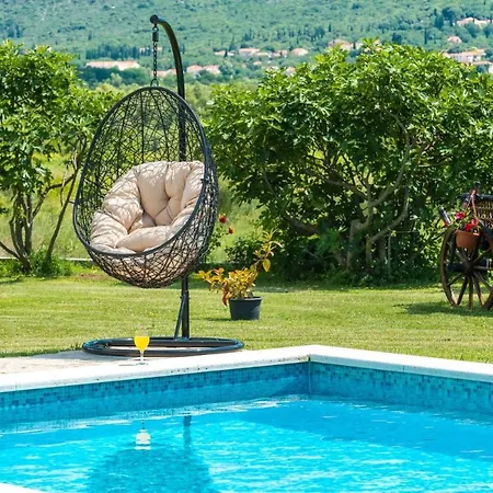 Thousand Roses Lovorno